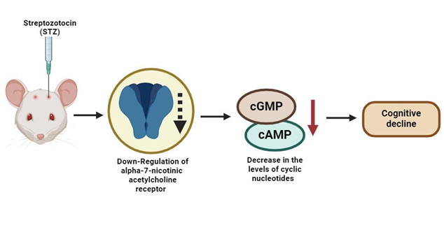 Graphical Abstract